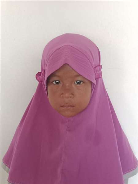 نور فيل بحري داينغ داينغ