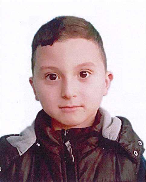 صفات بيلبيل شاهين سافا