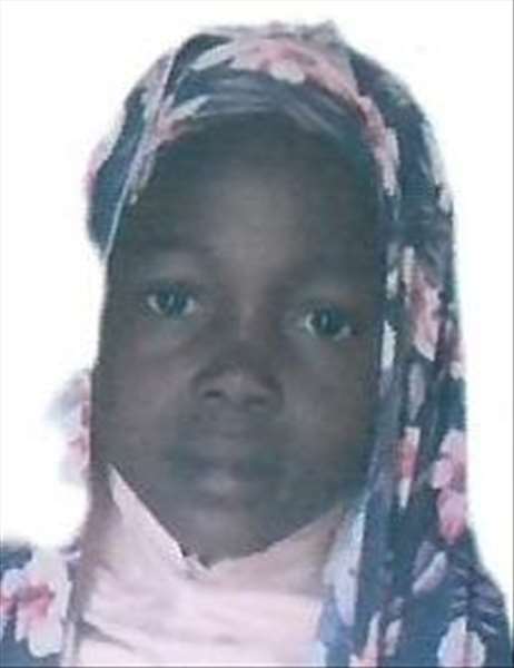 حيرة  محمد    موسى بجي