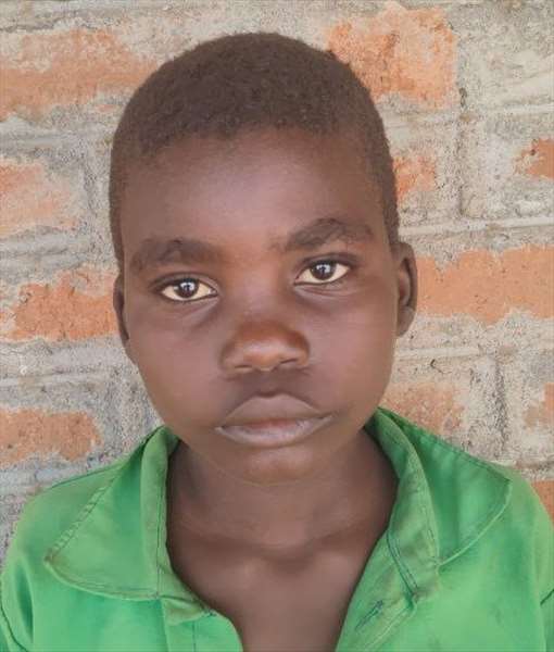 Marko Zimbabwe Bifolo Bifolo