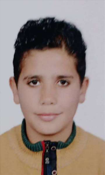 mohamad mahmoud mosaad alshafeaey