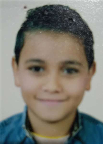 محمد وائل  حسن  محمود 