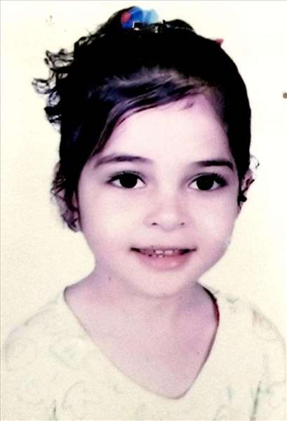 Yasmeen Hassan Fawzy Shanab