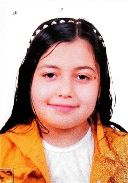 Hana Walied GamalAbdelfatah Elbrashi
