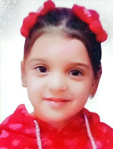 joumana mohamed loutfey alashrey