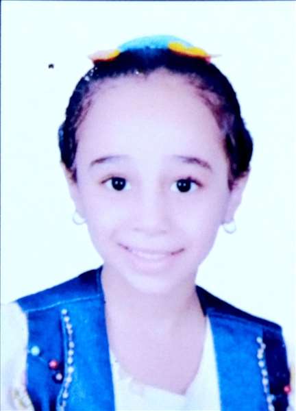 ملك محمد عاطف فايد