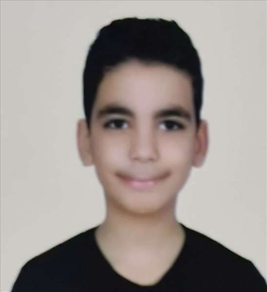 alhasan mohamed alie alzaeney