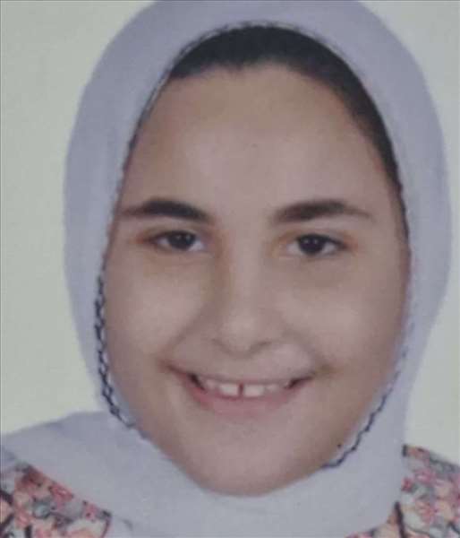 alaa mohamed hamdey alngaer