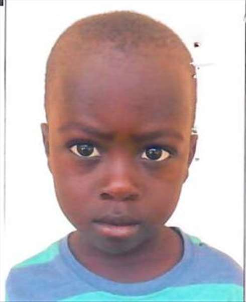 عبدالله  محمد  الحسن  ديكو 