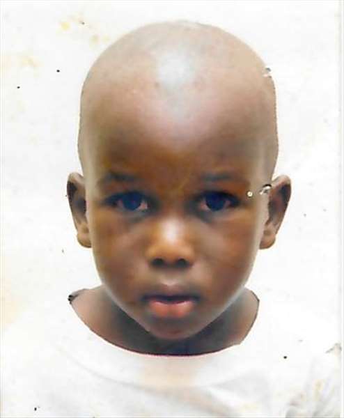 إبراهيم  بالامين عبدالله  جيبا