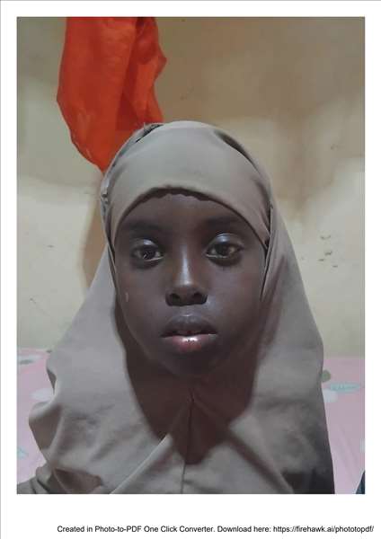 amina khalif hassan bashir