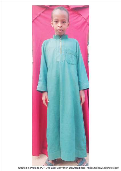 حمزة  ابراهيم نور على