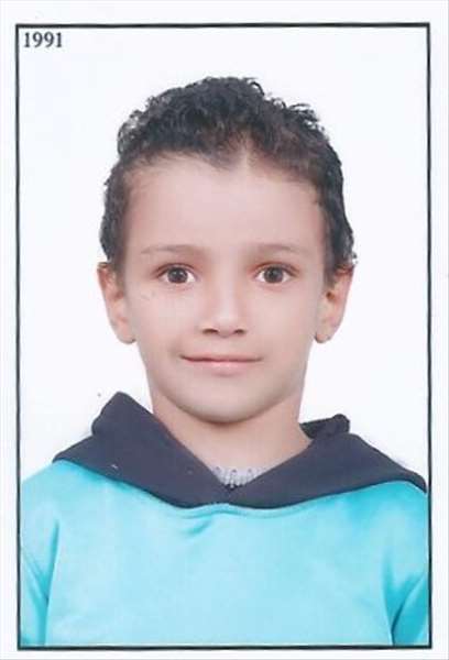 Amir Mohammed Salah Mohammed