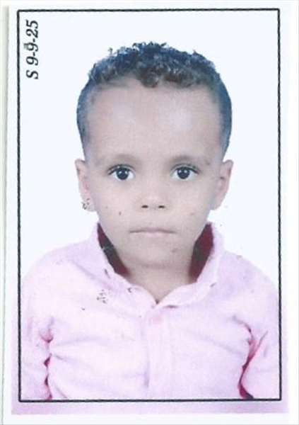 محمود وائل محمد هاشم