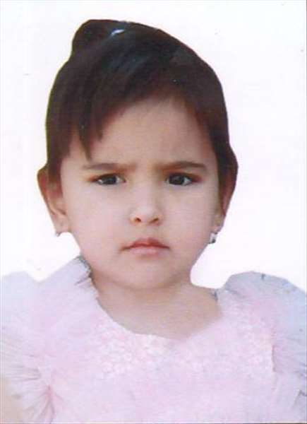 زينب أميد جان  عبدالعزيز عبدالعزيز زاده