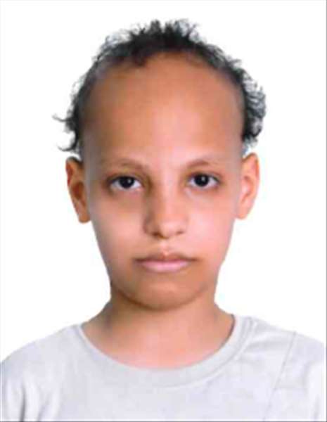 Mohamed Ramadan Hajeej Mohareb