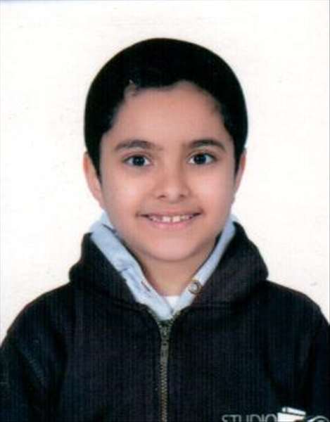 hasan ali elsanhori ali