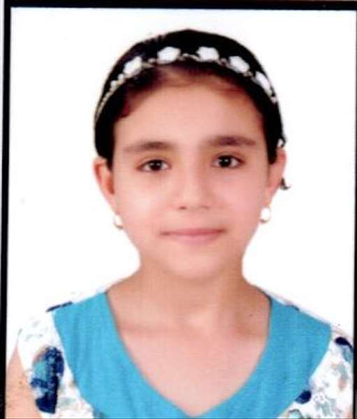 negar emad abdelkarim abdallah