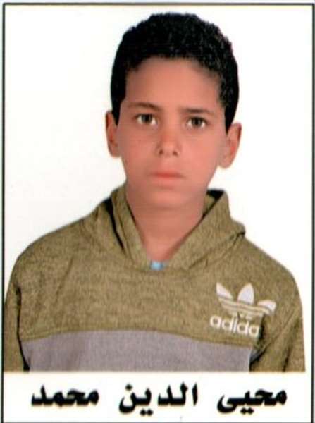 alaa mohyealdin abdelhamid mohamed