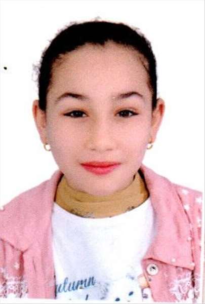 gana mahmoud abdelaziz mohamed