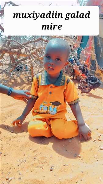 muxiyadiin gallad mire abdi