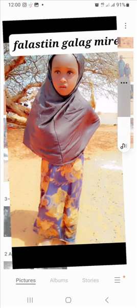 falsdiin gallad mire abdi