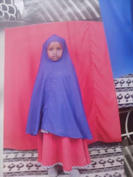 ayaan xisi diiriye axmed