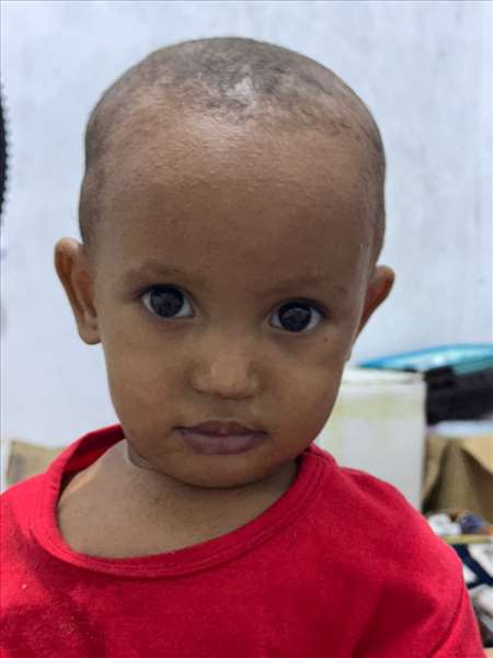 الشيخ  الشيخ سيد محمد  احمد سالم  حبسه